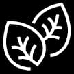 Leaf Icon