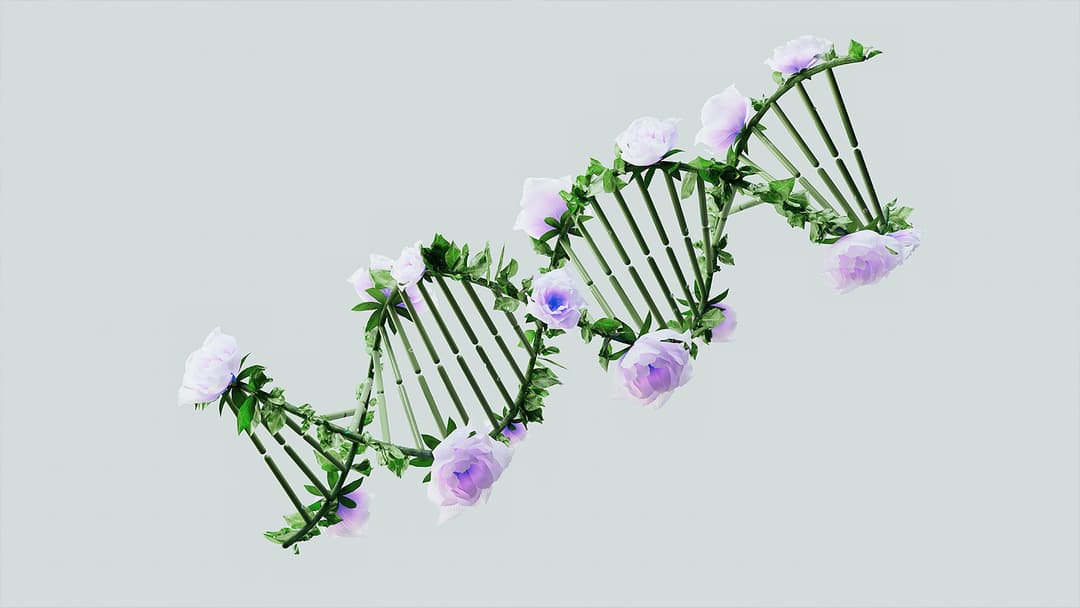 The Top 6 DNA Testing Kits to Discover Your Ancestry