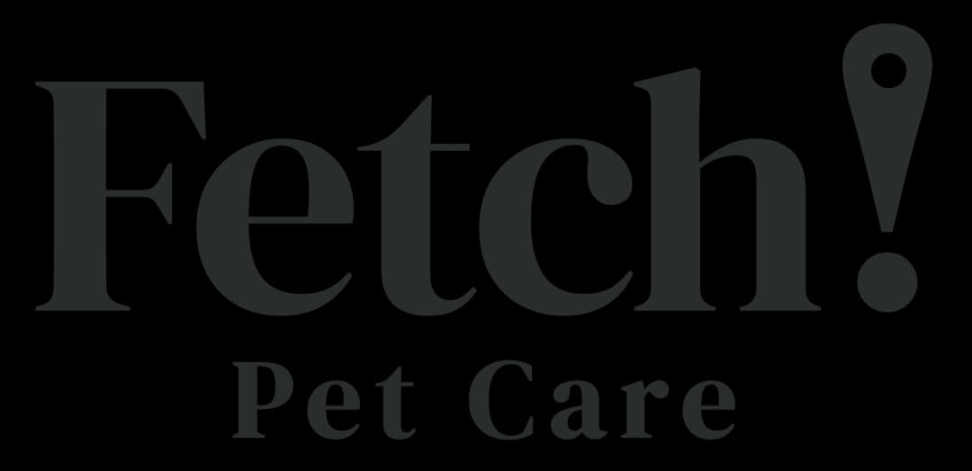 Fetch  Review (2024)