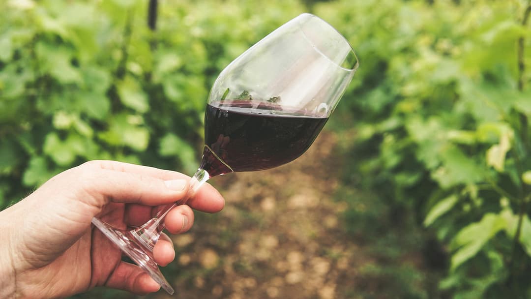The Top 6 Wine Clubs to Discover New Wines and Expand Your Palate