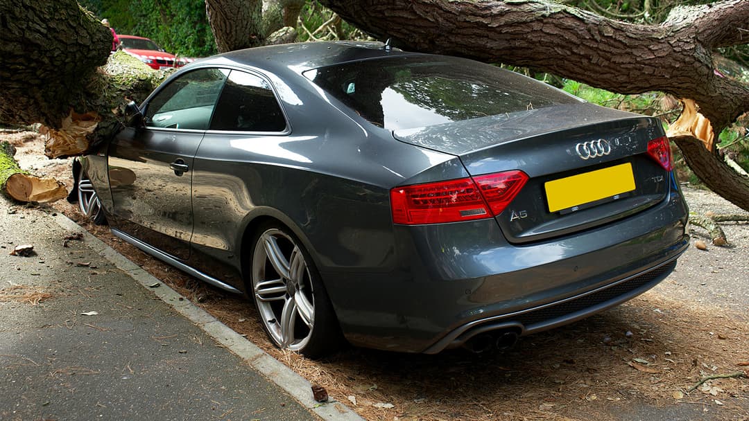The Top 6 Car Insurance Companies to Protect Your Vehicle