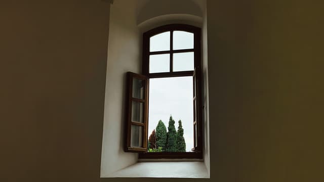 Binoculars