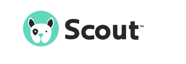 Scout