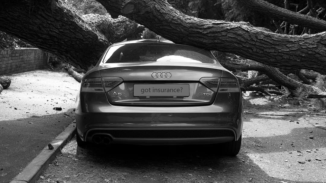 The Top 6 Car Insurance Companies to Protect Your Vehicle