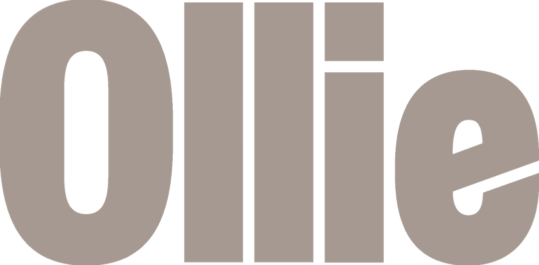 Ollie Pet Food Review (2024)