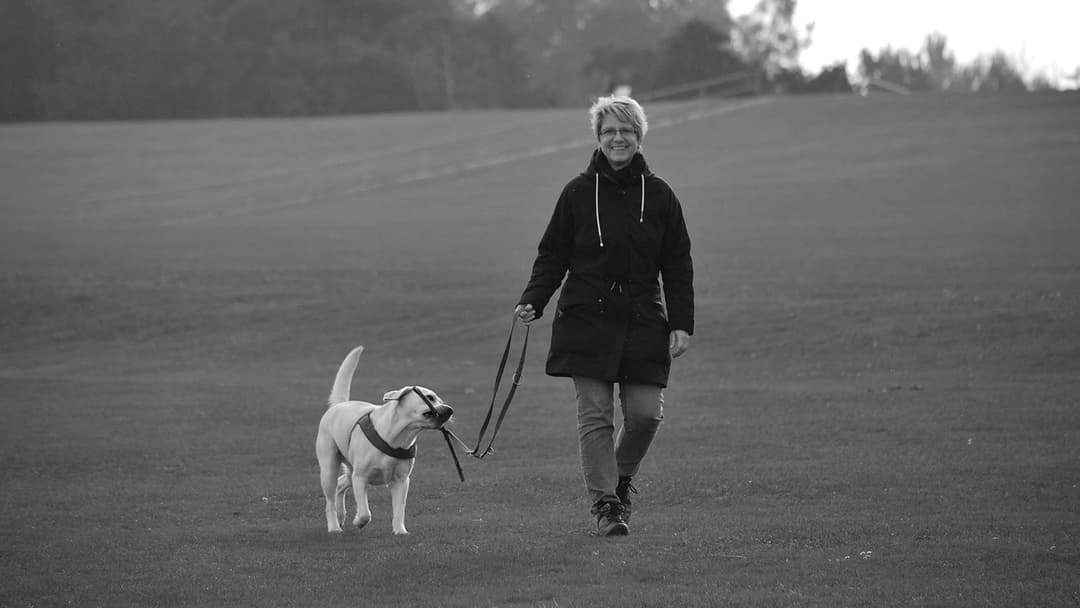 The Top 6 Pet Boarding Services to Keep Your Pets Safe and Happy